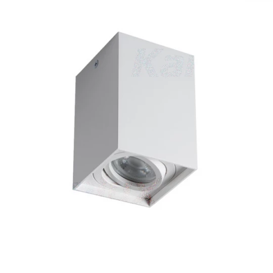 Oprawa sufitowa punktowa GORD XS DLP-50-W