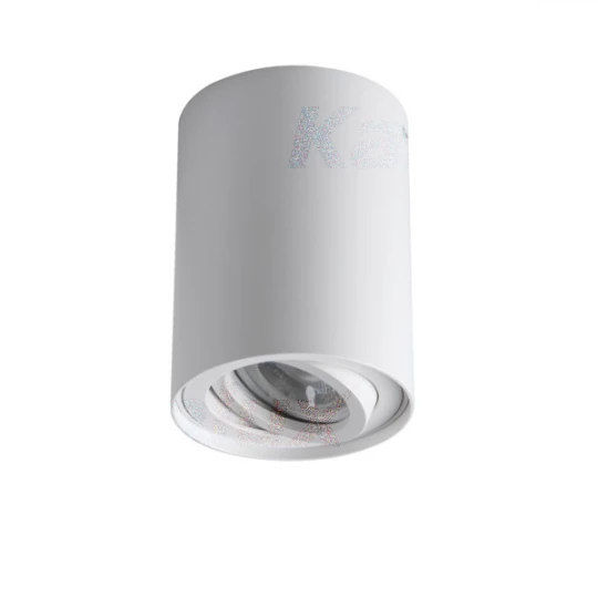 Oprawa sufitowa punktowa BORD XS DLP-50-W