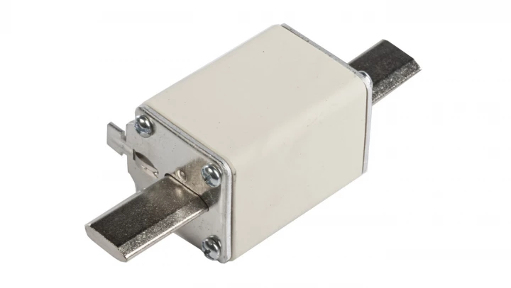 Wkładka bezpiecznikowa NH1 100A gF 500V WT-1 004139117