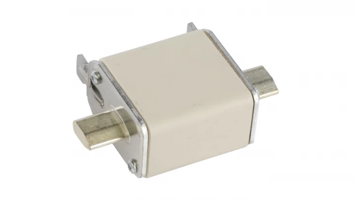 Wkładka bezpiecznikowa NH00 80A gF 500V WT-00 004114338