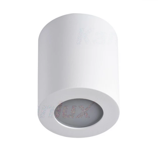 Oprawa sufitowa punktowa SANI IP44 DSO-W
