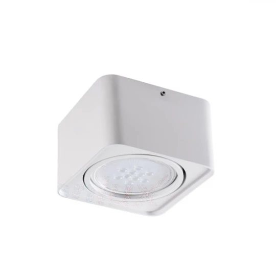 Oprawa sufitowa punktowa TUBEO ES 50-W