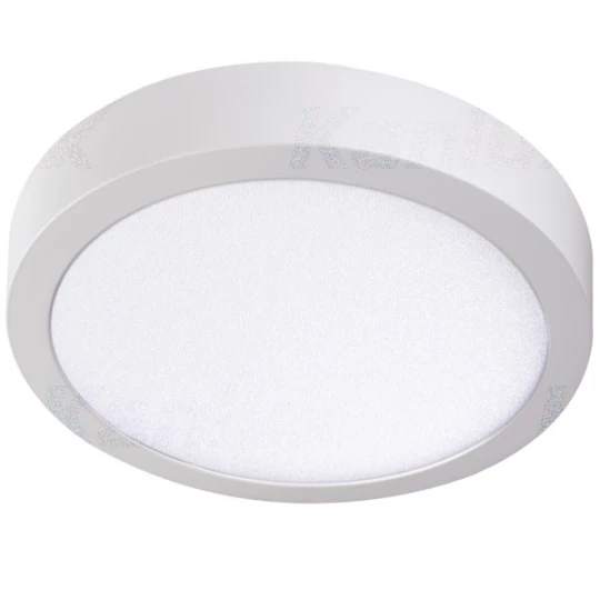 Oprawa oświetleniowa LED CARSA V2LED 24W-NW-W