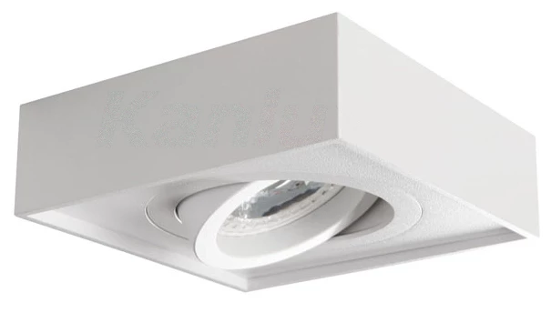 Oprawa punktowa MINI GORD DLP-50-W 28780