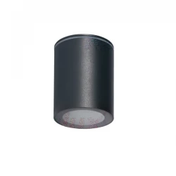 Oprawa sufitowa punktowa AQILO IP65 DSO-GR