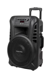 Aktywna kolumna głośnikowa (z 2 mikrofonami bezprzewodowymi UHF, SD, Bluetooth, FM, USB) 40 Watt