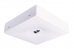 Oczko awaryjne N/T Starlet QUAD LED SC 150 SA 3H MT IP20