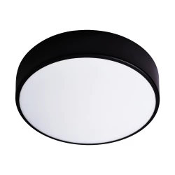 OVO plafon 2xE27, 2x24W, czarna stal, klosz plastikowy matowy, IP54, Ø 300