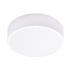OVO plafon 2xE27, 2x24W, biała stal, klosz plastikowy matowy, IP54, Ø 300