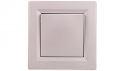 ASFORA Łącznik 1-biegunowy IP44 z ramką aluminium EPH0100261