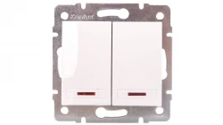 DOMO Łącznik dwugrupowy świecznikowy z LED szybkozłączka 10AX 250V biały 011120202 24724