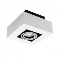 Oprawa sufitowa punktowa STOBI DLP 50-W