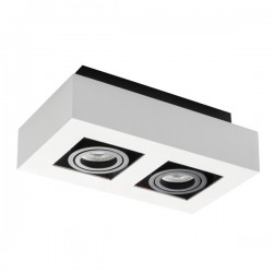 Oprawa sufitowa punktowa STOBI DLP 250-W