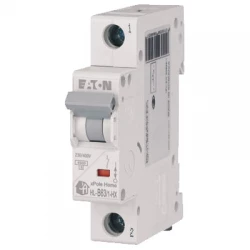 Wyłącznik nadprądowy 1P B 63A 6kA AC xPole Home HN-B63/1 194827