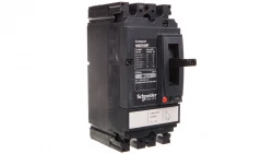 Wyłącznik mocy 160A 2P 18kA NSX160F TM160D 2P LV438700