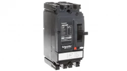 Wyłącznik mocy 100A 2P 18kA NSX100F TM100D 2P LV438600