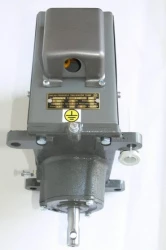 DZEM 30 ZWALNIAK LUZOWNIK