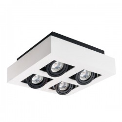 Oprawa sufitowa punktowa STOBI DLP 450-W