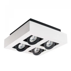 Oprawa sufitowa punktowa STOBI DLP 450-W