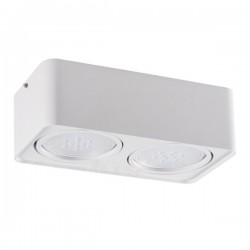 Oprawa sufitowa punktowa TUBEO ES 250-W
