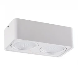 Oprawa sufitowa punktowa TUBEO ES 250-W