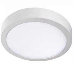 Oprawa oświetleniowa LED CARSA V2LED 24W-NW-W