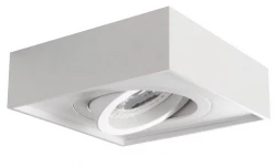Oprawa punktowa MINI GORD DLP-50-W 28780